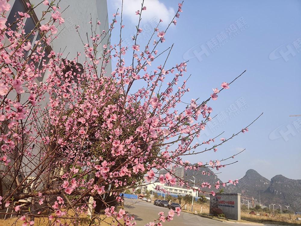 廣西桂林鴻程機(jī)械廠里花團(tuán)錦簇，滿園春色，邀您一起共賞春景，共商大計(jì)！